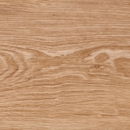 0,55 mm Berlin - Bedgebury Oak 003